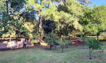 Imagem 4: Salomone vende: Belíssimo sítio no Espigão