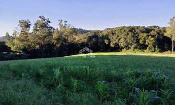 Imagem 7: Área de terra de 02 hás agricultável