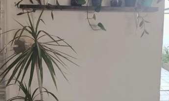 Imagem 7: Kitnets na praia Piedade Pernambuco 500m do mar 600,700,750 reais 11 96 35 17 841