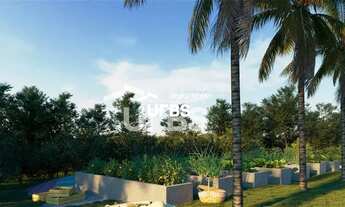 Imagem 3: Lotes no Jardins Miami