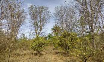 Imagem: Vendo ou Troco Chácara em Mirabela no Encontro