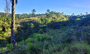 Imagem 2: Vendo fazendinha em Valença Bahia