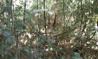 Imagem 4: Super 5 mil mts quadrados na crista da colina plaino