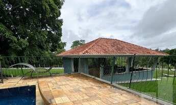 Imagem 4: Sítio com Estrutura Completa e Excelente Potencial Comercial