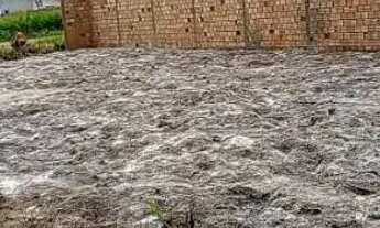 Imagem 2: Terreno localizado na avenida Arara vermelha no bairro park Amazônia