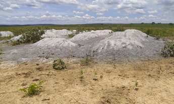 Imagem 4: Fazenda 883 h 100%plana 55 km do asfalto oportunidade