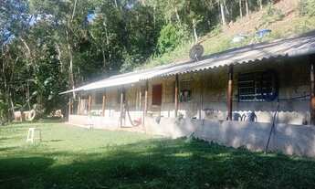 Imagem: 45803948 ligue já 137 mil reais