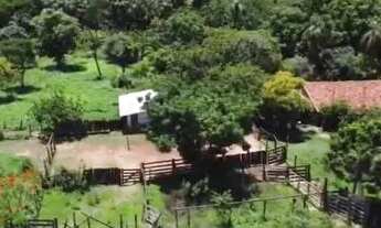 Imagem 7: Cromínia - São 8.6 alq. situada à 64 km de Goiânia -BR 153, sendo 50 km de asfalto e 14