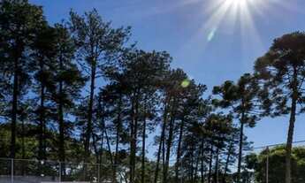 Imagem: Apartamento em José Manoel de Oliveira