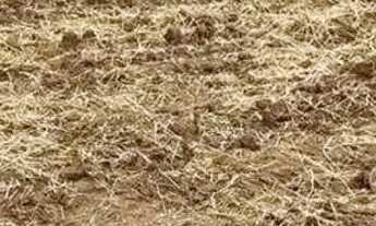 Imagem 4: Terreno à venda, 1000 m² por R$ 145.000,00 - Cocuera - Mogi das Cruzes/SP