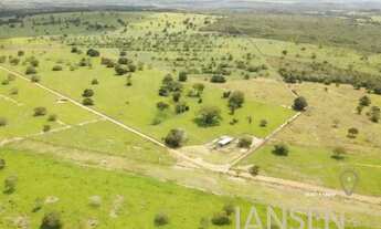 Imagem 2: Fazenda à venda Tocantins permuta