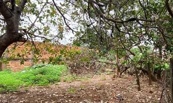 Imagem 3: Venda de Lote em Bonito de Minas - MG