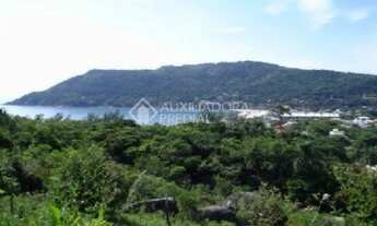 Imagem 2: Terreno à venda em Ponta das Canas, Florianópolis