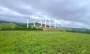 Imagem 7: 86C- TERRENOS PLANOS EM COTIA