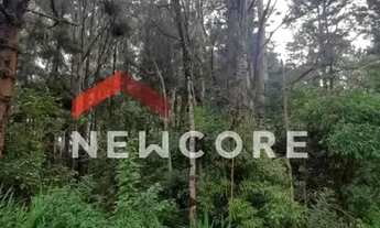 Imagem 6: Lote em Estrada Principal Rincão dos Kroeff - Rincão do kroeff - São Francisco de Paula/RS