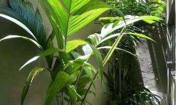 Imagem 5: Casa com 3 quartos à venda, 120m² - Jardim Três Colinas