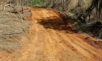 Imagem: 5. Dê o passo que falta para sua paz venha