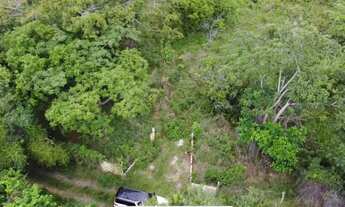 Imagem 2: Terreno 1 hectare à beira do Rio Branco - Contrato