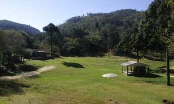 Imagem 5: Sitio Maravilhoso 10 alqueires 50 km Curitiba-PR