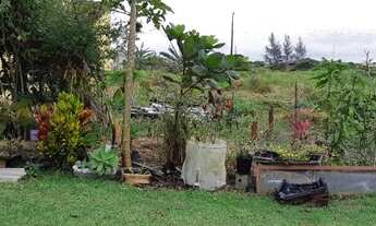 Imagem 2: Terreno Ilha Comprida,vendo ou troco por chácara