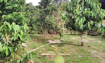 Imagem 3: Sítio Chácara com venda por R$69.000