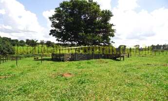 Imagem 6: Sítio 29,18 hectares, duas casas, formado, Prata Mg