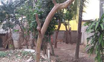 Imagem 4: Terreno no centro da pedra de Guaratiba