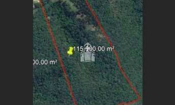 Imagem 2: CAMPO LARGO - Chácara - São Luiz do Purunã