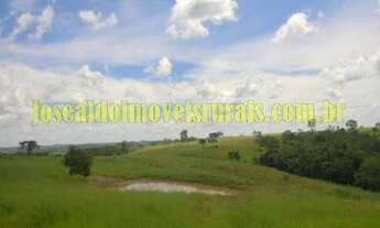 Imagem 13: Fazenda 450,0 hectares em pecuária, São Gonçalo do Abaeté MG
