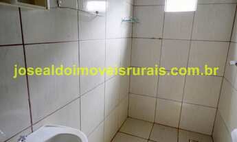 Imagem 7: Granja de Frangos funcionando, 25 km Monte Alegre de Minas MG