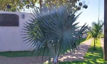 Imagem 3: Venda Chácara com venda por R$1.050.000