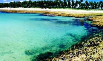 Imagem 7: Terreno pós beira-mar na Enseada dos Corais 540m²