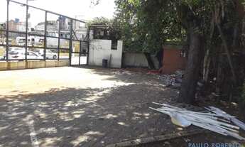 Imagem 5: GALPÃO - ROCHDALE - SP