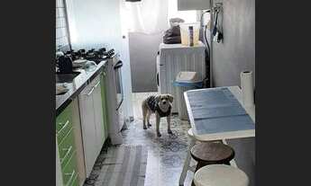 Imagem 4: APARTAMENTO - VILA PEREIRA CERCA - SP