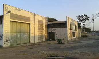 Imagem 2: O melhor da BR-116