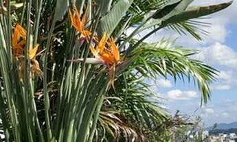 Imagem 2: Vende apartamento de alto luxo, com 41m², 1 vaga, andar alto com vista livre em 40m² no Ca