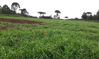 Imagem 13: Fazenda à venda, 120 alqueires por R$ 4.200.000 - Guará - Guarapuava/PR
