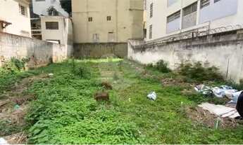 Imagem 7: Comercial-São Paulo-BELA VISTA