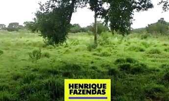 Imagem 2: Fazenda Novo Acordo