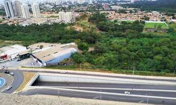 Imagem 5: Edifício Forest Hill Residence - 441 m² com 5 suítes - 2 apartamento por andar