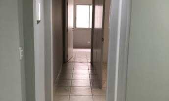 Imagem 7: CASA TÉRREA - CHÁCARA SANTO ANTONIO - SP