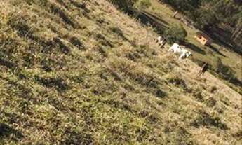 Imagem 3: COD:1542 Excelente sítio em Silvianópolis