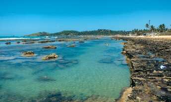 Imagem 6: Terreno pós beira-mar na Enseada dos Corais 540m²