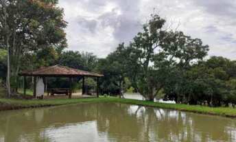 Imagem 3: Vendo sitio em timbui 220 mil a vista ou entrada 20 mil