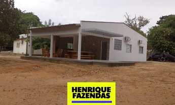 Imagem 4: Fazenda Novo Acordo