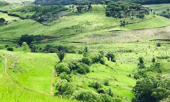 Imagem 2: FAZENDA EM MATRIZ DE CAMARAGIBE