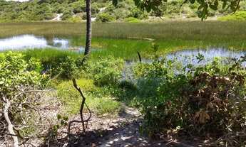 Imagem 7: Vendo área em Muriú com mais de 60 de lagoa, ideal para construção de hotel