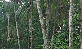 Imagem: Vendo ou troco pra ananideua