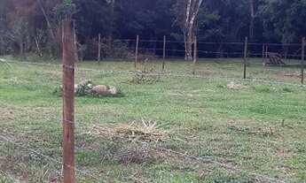 Imagem 4: Terreno plano de 420 m2 no Vale das Flores, Visconde de Mauá - RJ
