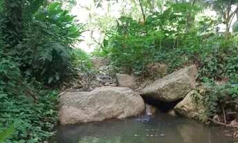 Imagem 3: Ampla Chácara Vila Progresso